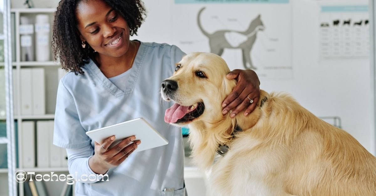 how much does a vet tech make